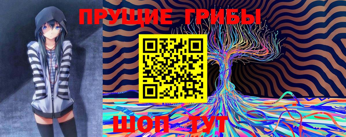 Псилоцибиновые грибы Psilocybe Воронеж